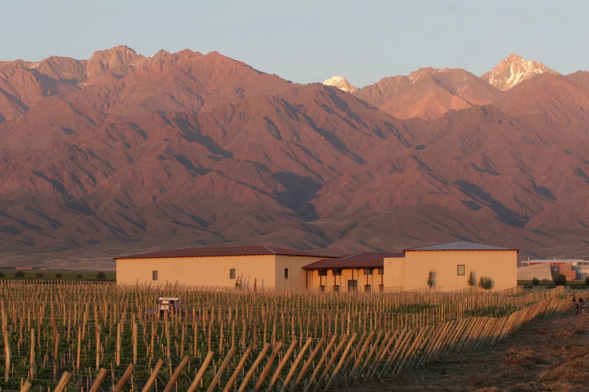 TOUR BODEGAS PREMIUM
